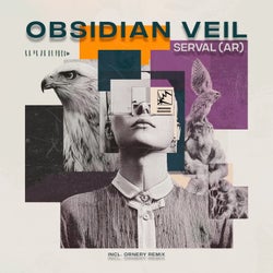 Obsidian Veil