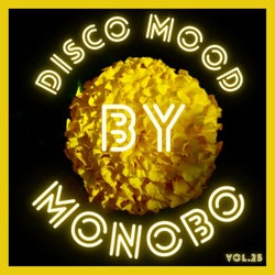 Disco Mood vol.25