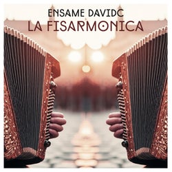 La Fisarmonica