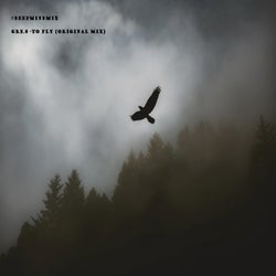 To Fly