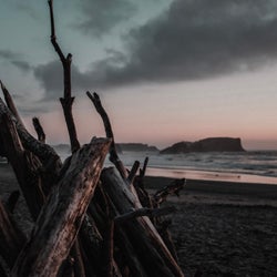 Longshore
