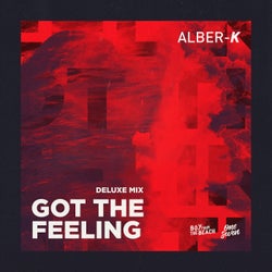 Got the Feeling (Deluxe Extended Mix)