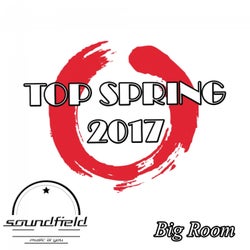 Big Room Top Spring 2017