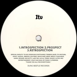 Introspection
