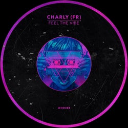 Feel The Vibe