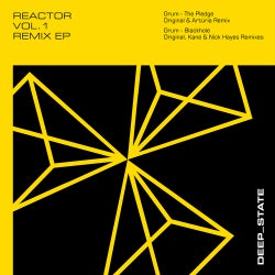 Reactor Remix EP