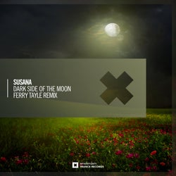 Dark Side of The Moon (Ferry Tayle Remix)