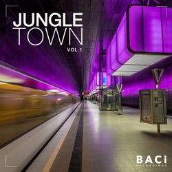 Jungle Town Vol. 1 (Best Soul Funk, Disco Hits)