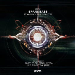 Stamina-The Remixes