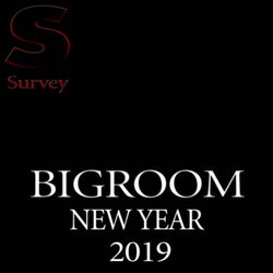 BIGROOM MUSIC NEW YEAR 2019