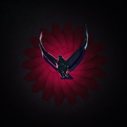 Rise