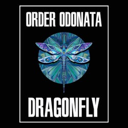 Order Odonata - Beyond the Looking Glass