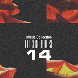 Music Collection. Electro House 14