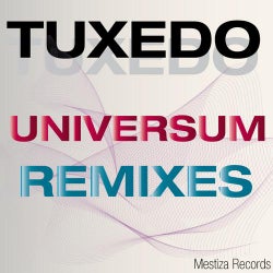 Universum Remixes