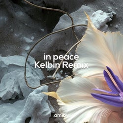 In Peace (Kelbin Remix)