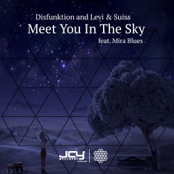 Levi & Suiss's 'Meet You In The Sky' Chart