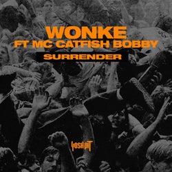 Surrender (feat. MC Catfish Bobby)