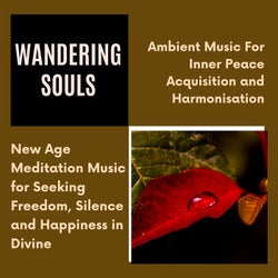 Wandering Souls (Ambient Music For Inner Peace Acquisition And Harmonisation) (New Age Meditation Music For Seeking Freedom, Silence And Happiness In Divine)