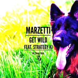 Get Wild (feat. Strategy KI)