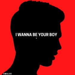 I Wanna Be Your Boy