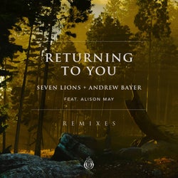 Returning To You (feat. Alison May) [Remixes]