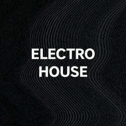 Biggest Basslines: Electro House