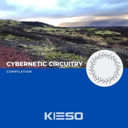 Cybernetic Circuitry