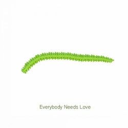 Everybody Needs Love