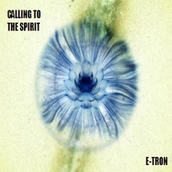 CALLING TO THE SPIRIT