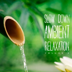 Slow Down Ambient Relaxation, Vol. 2