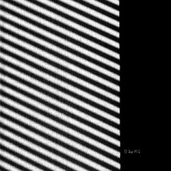 Dust & Motion