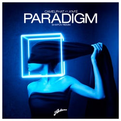 Paradigm (Shapov Remix)