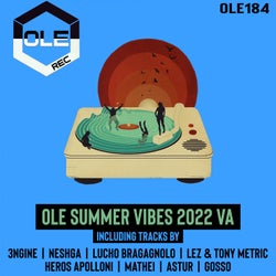 Ole Summer Vibes 2022 VA