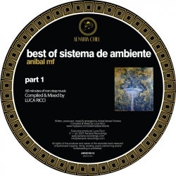 The Best Of Sistema De Ambiente (Part 1)