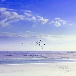 The Calm (Sleep)