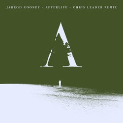 Afterlife (Chris Leader Remix)