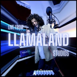 Live From Llamaland Studios