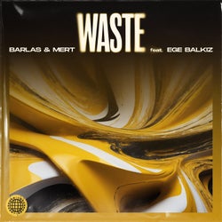 Waste (feat. Ege Balkiz) (Extended Mix)