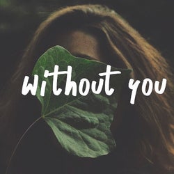 Without You