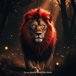 Lion Type Beatz