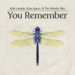 You Remember (Extended Mix)