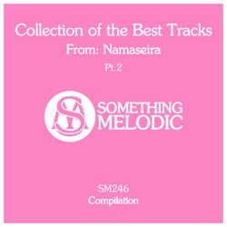 Collection of the Best Tracks From: Namaseira, Pt. 2