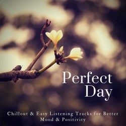 Perfect Day (Chillout & Easy Listening Tracks For Better Mood & Positivity)