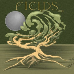 Fields