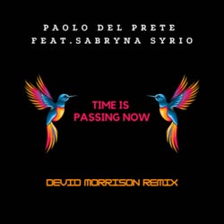 Time Is Passing Now (Devid Morrison Remix)
