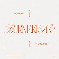 Burn Like Fire (The Remixes)