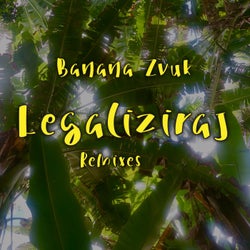 Legaliziraj (feat. Zan Jakopac, Popay, Chakka) [Remixes]