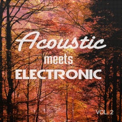 Acoustic Meets Electronic, Vol. 2
