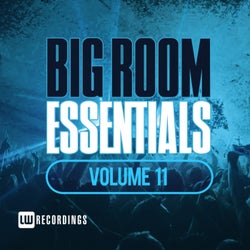 Big Room Essentials, Vol. 11