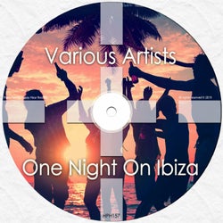 One Night On Ibiza